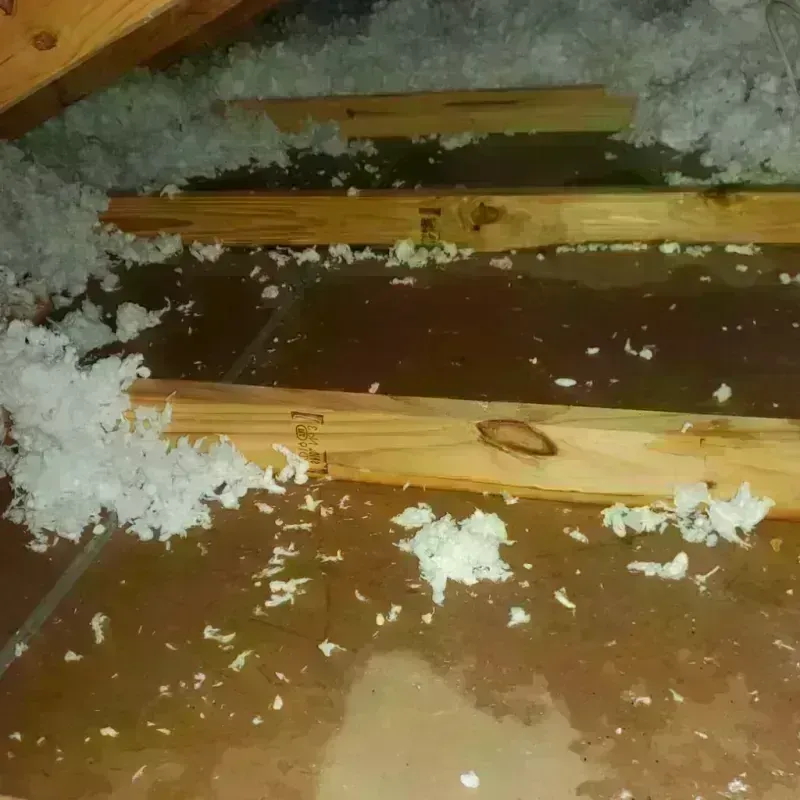 Attic Water Damage in Wolfe County, KY